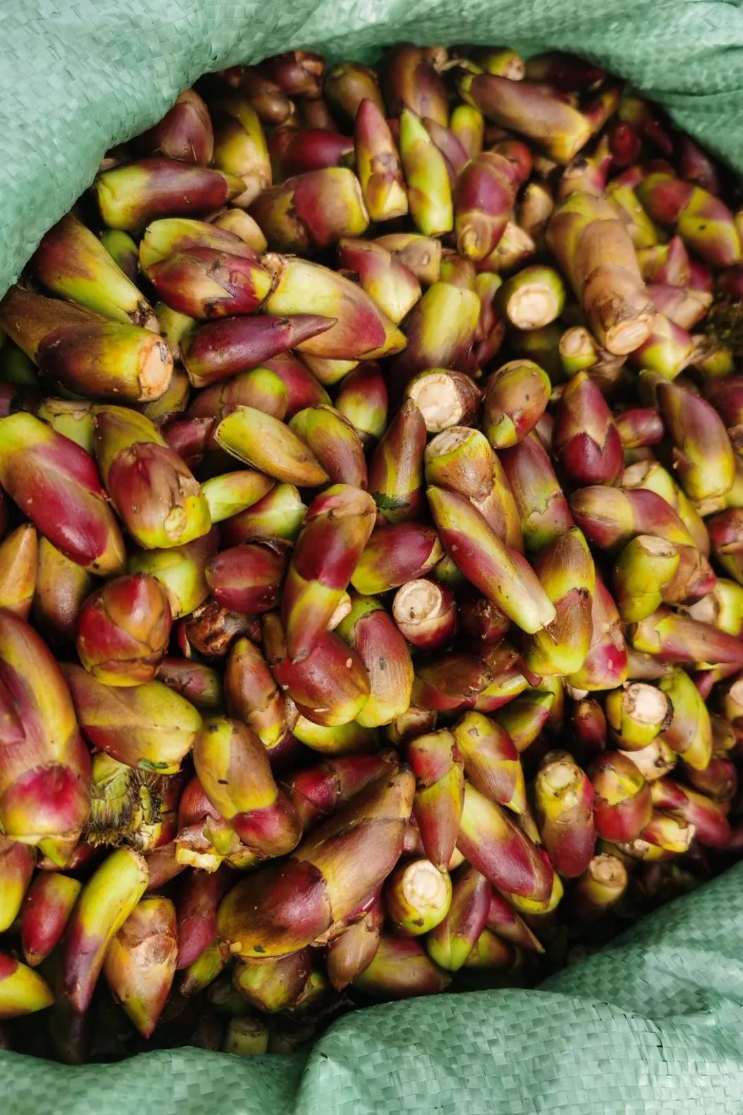 碳水*弹炸**配肉食，甘肃人的年味有多“攒劲”？