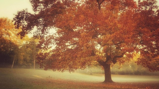 一月到十二月的最美古诗词,十二个月的经典古诗词