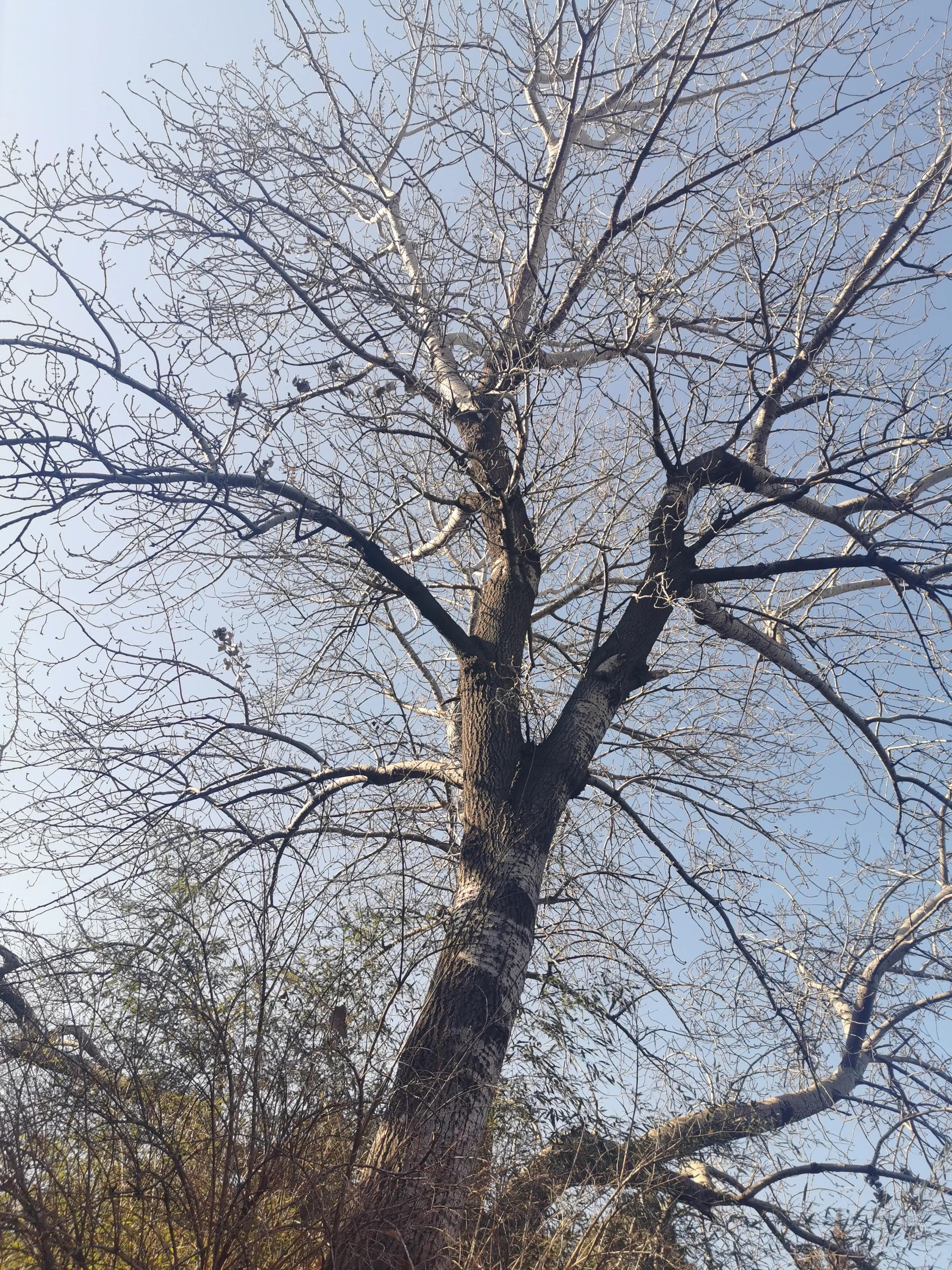 游玩趣乐,游玩陶然亭公园感受