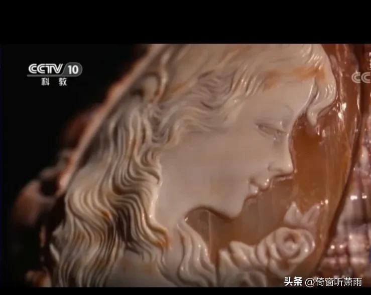 来自大海的快乐礼物,来自大海的礼物