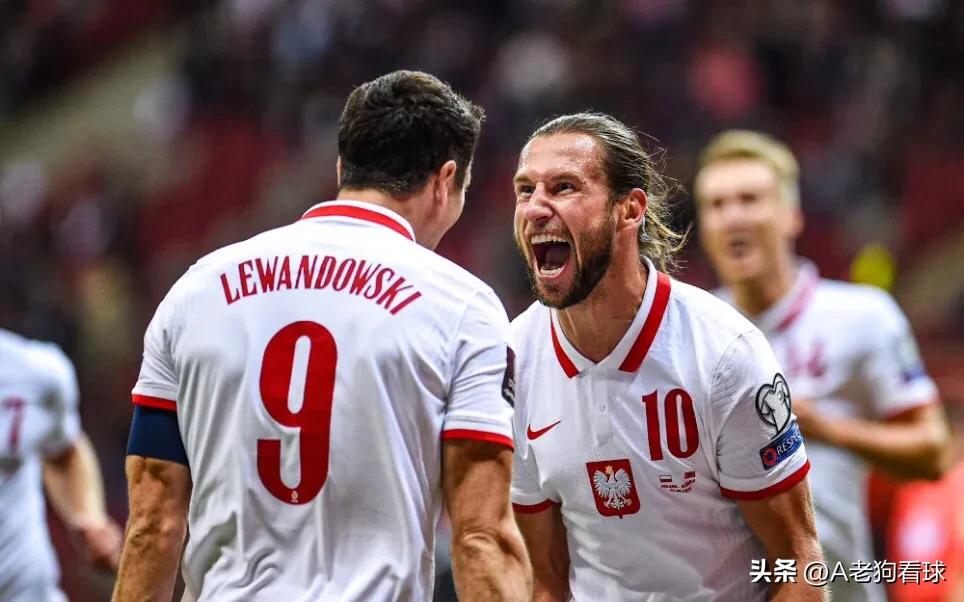 欧洲杯预选赛波兰vs阿尔巴尼亚,欧洲杯波兰vs乌克兰