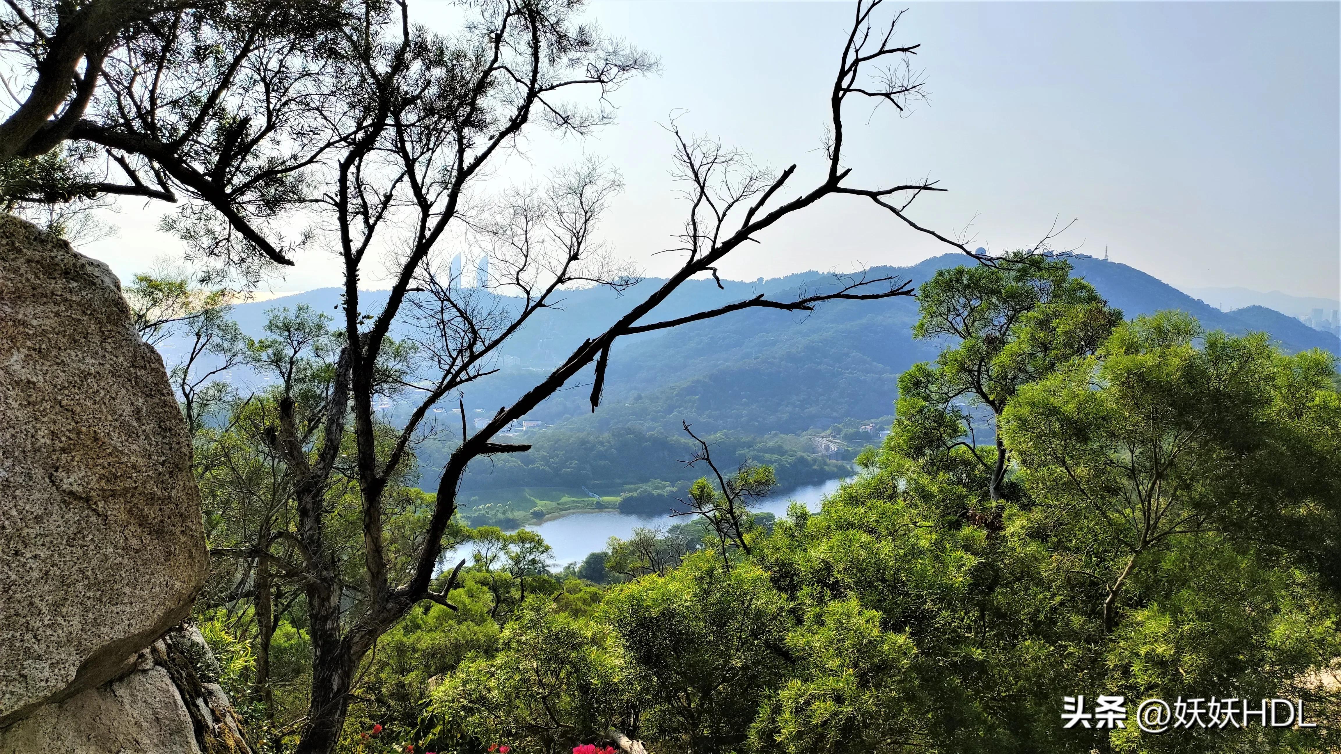 厦门山海健康步道的观音山出入口,厦门东坪山山海步道最佳路线图