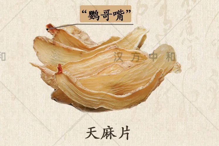 怎么分辨真天麻和假天麻,如何辨别真假天麻