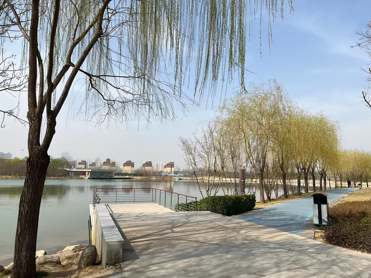 郑州足球公园足球场收费,足球入场费