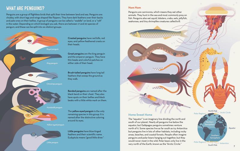 企鹅为什么生活在南极不在北极呢,第一只企鹅为什么不能生活在北极