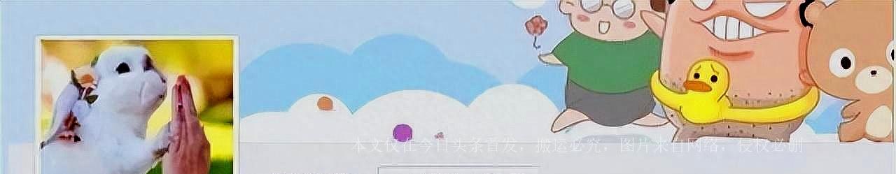 女孩把50cm“仙女管”塞入体内，太令人匪夷所思