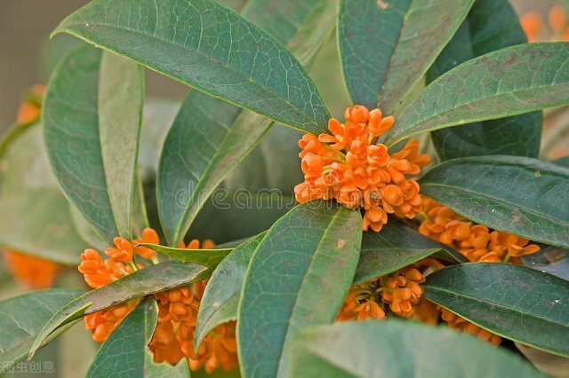 清可绝尘,清可绝尘浓能远溢什么意思