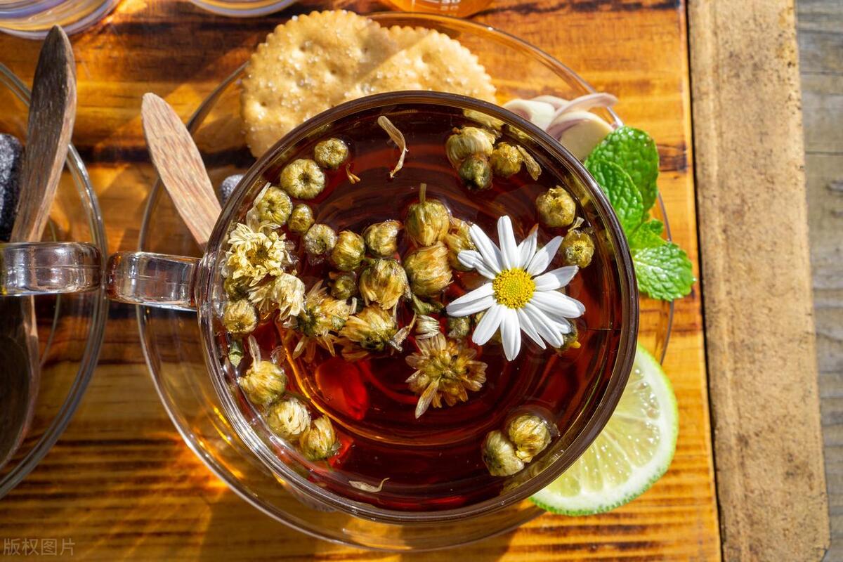 适合厨房养的绿植有哪些,厨房灶台放什么绿植