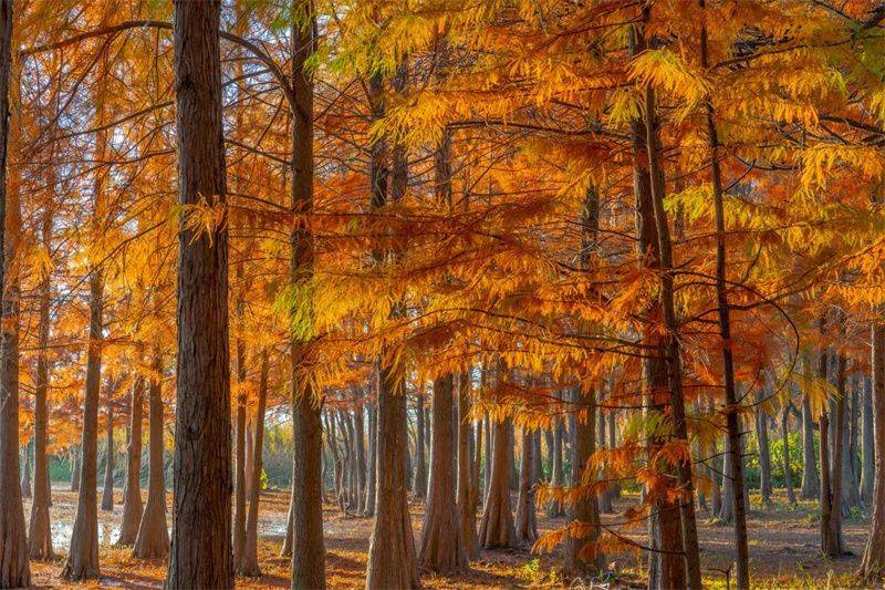 大理开启大理之旅,冬季的大理适合旅游吗