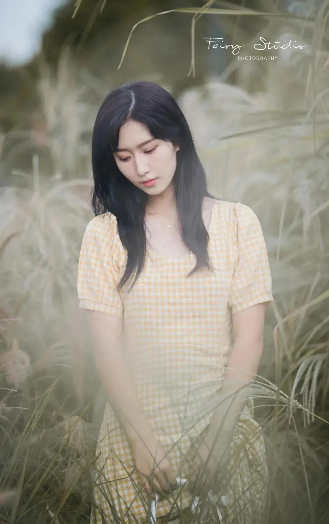 钂硅懎鑻嶈媿鐧介浘鑼尗姝岃瘝,钂硅懎鑻嶈媿澶╂动鑼尗