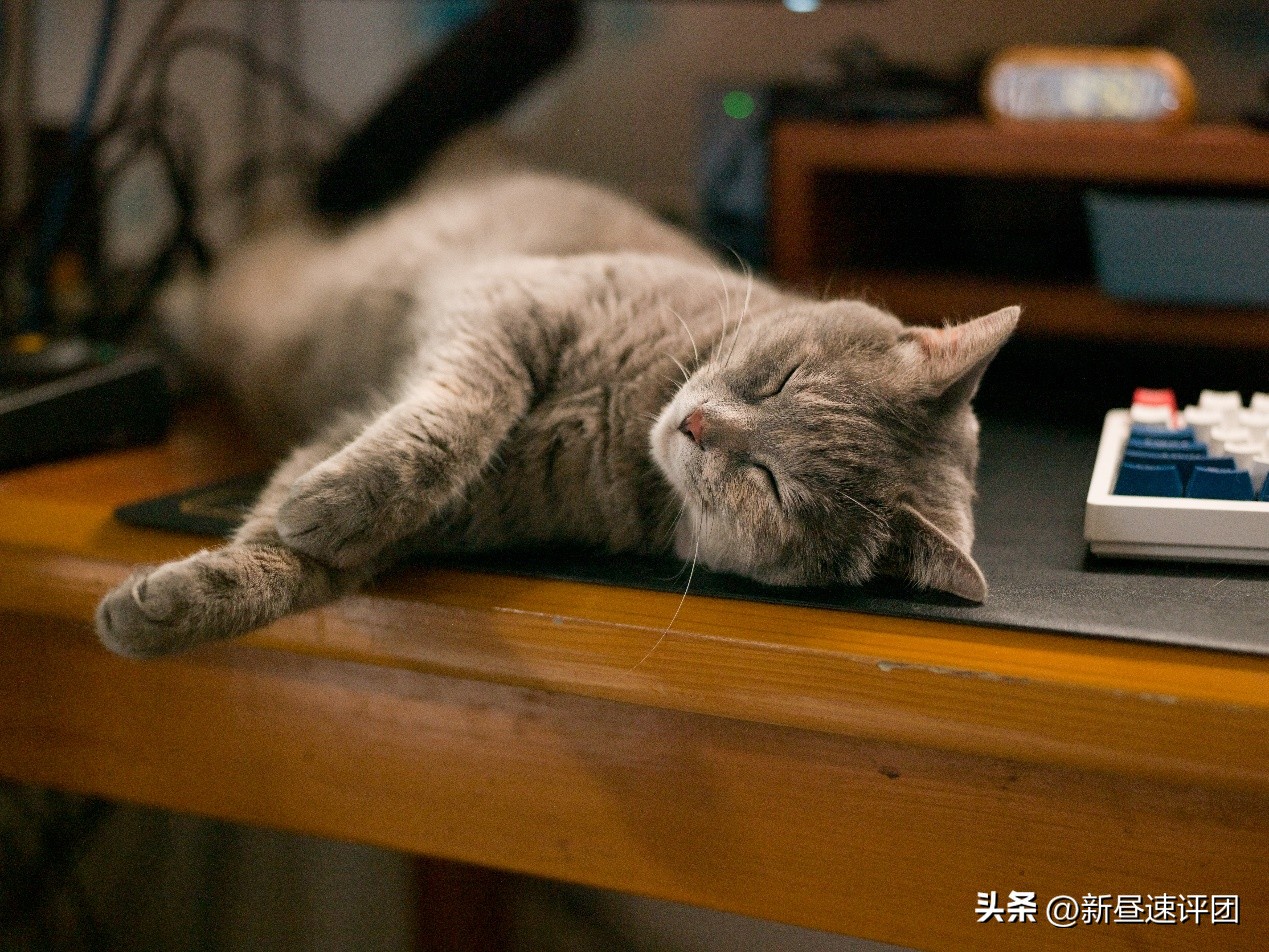 鍝堣嫃涓敾骞卙4d闀滃ご,鍝堣嫃鐩告満h4d-200ms