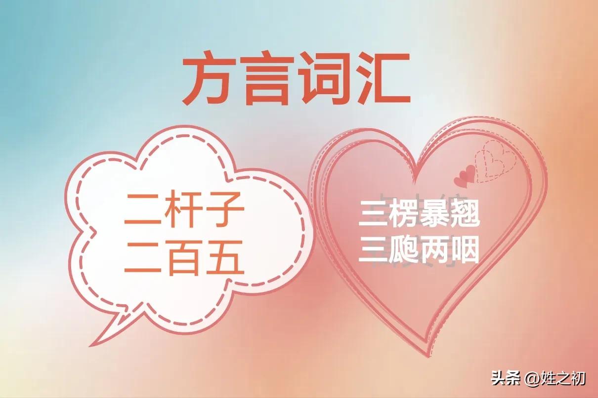 汉中话撩人方言大全,陕西汉中方言常用语300句