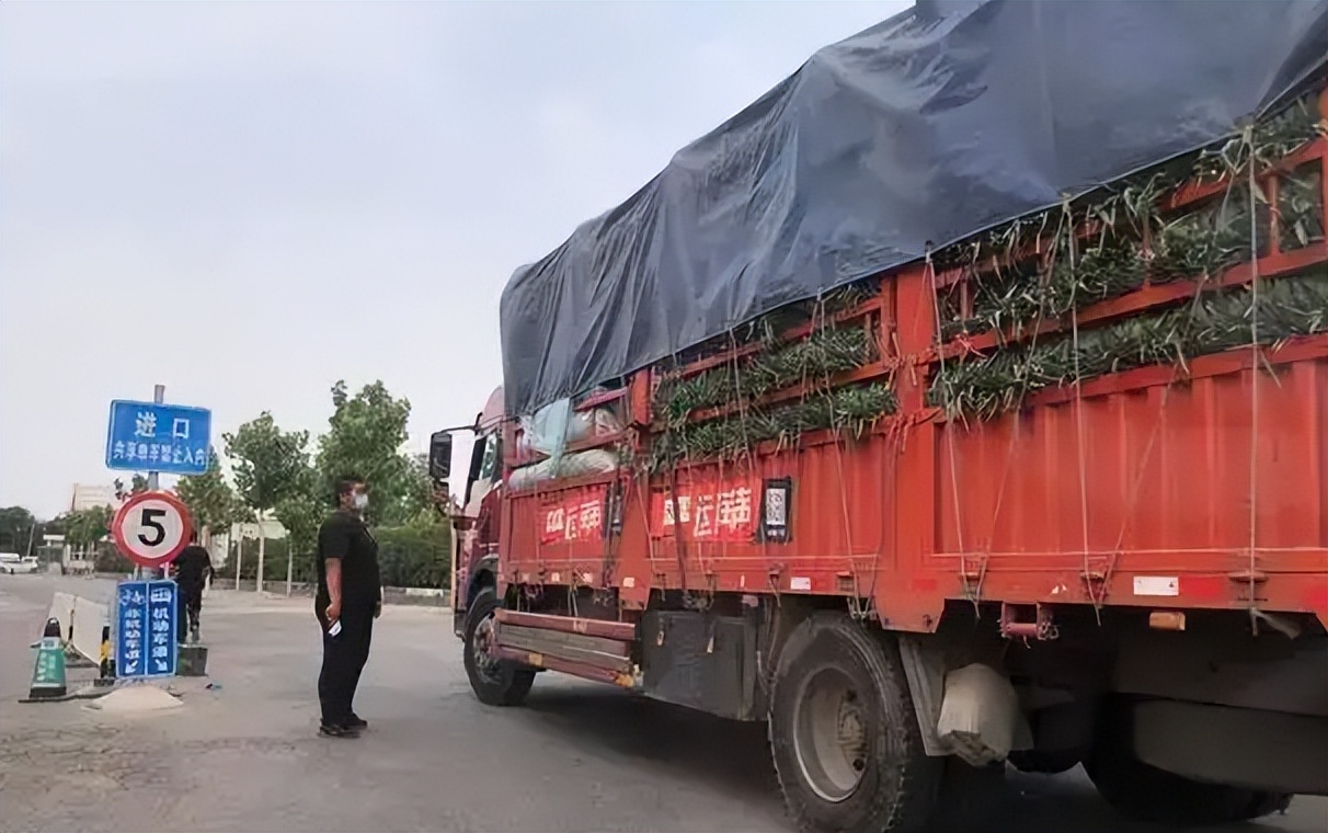 仓栅式半挂车,仓栅式运输半挂车