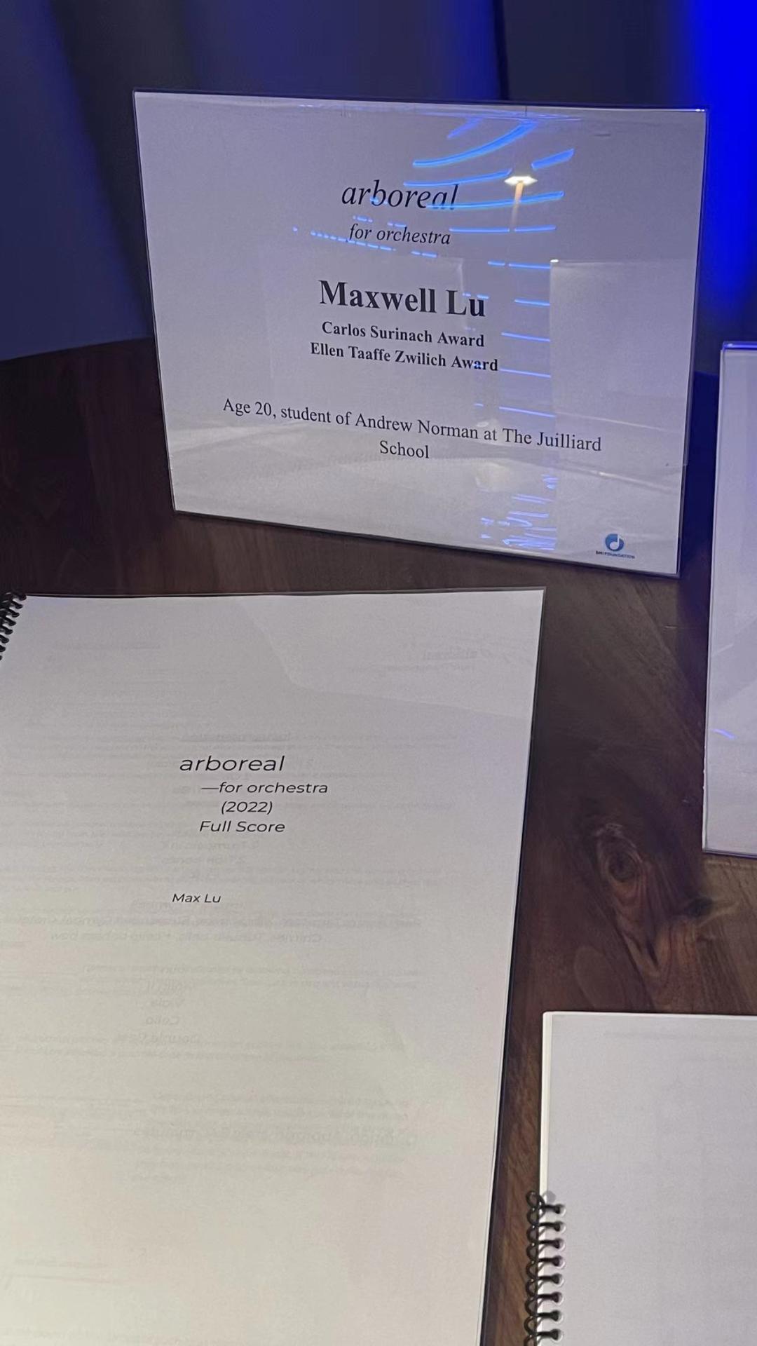 华裔中大奖最新,华人世界级大奖