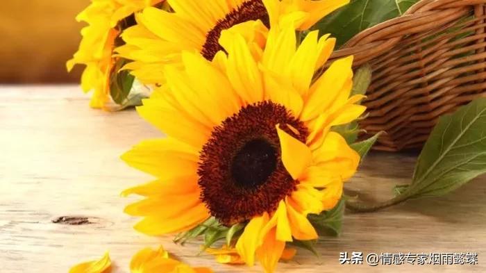 明白朋友圈定律后才懂得如何社交,最惊人的朋友圈定律