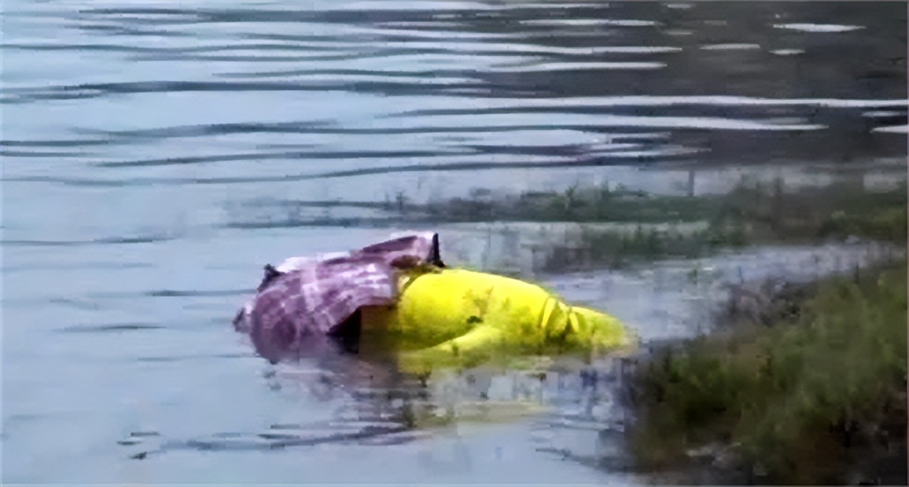 江边突现无名女尸下集,黄浦江边惊现无名女尸结局