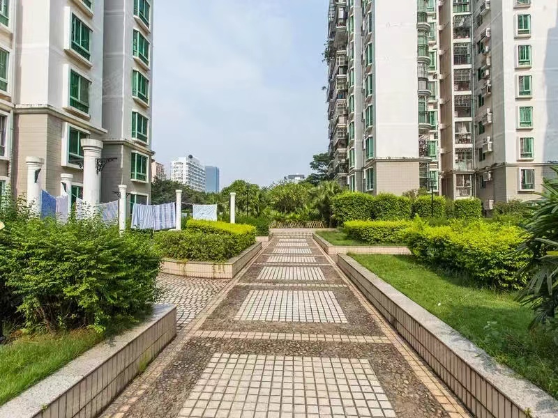 我，1999年来到深圳，当了一名司机，如今拥有一套房，价值上千万