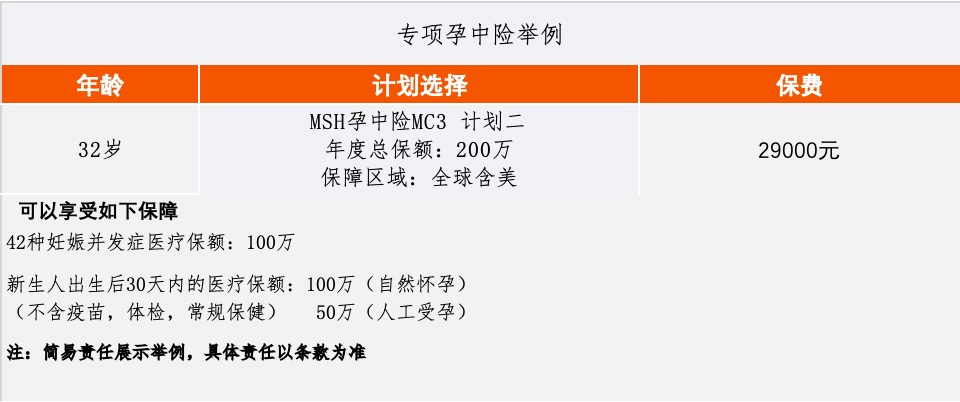 赴美生子,准备哪类保险证明利于过关