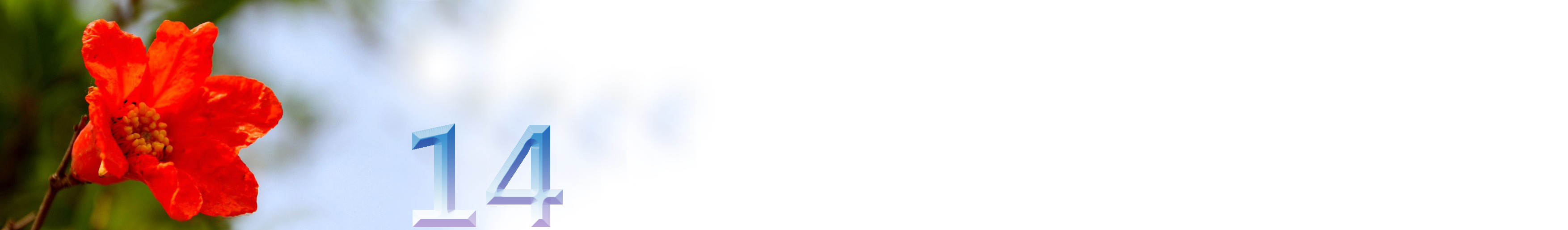 五月石榴花开的唯美诗句,关于石榴花的美文和诗句