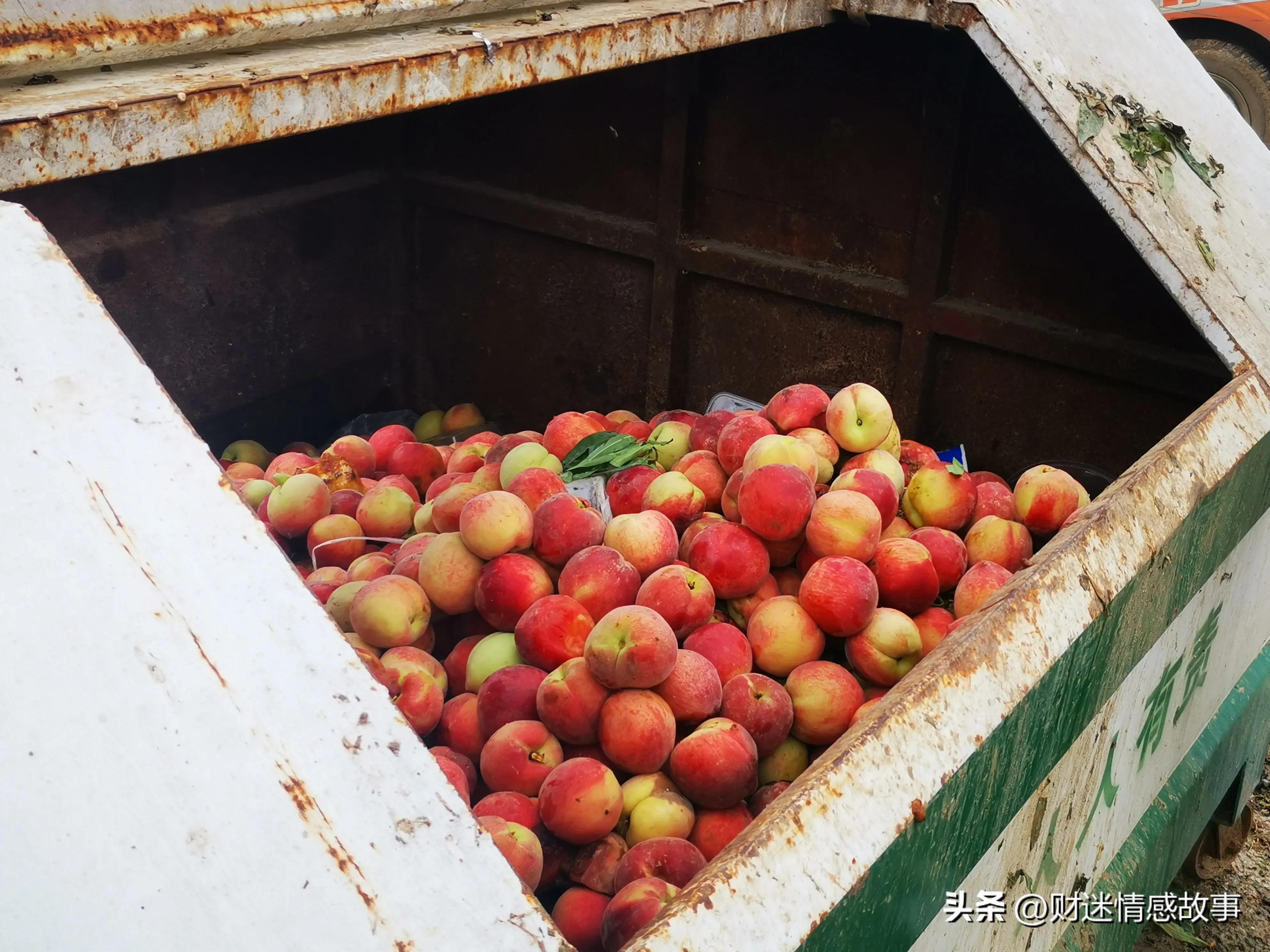 零投资快速赚钱方法,零投资的赚钱方法哪里有