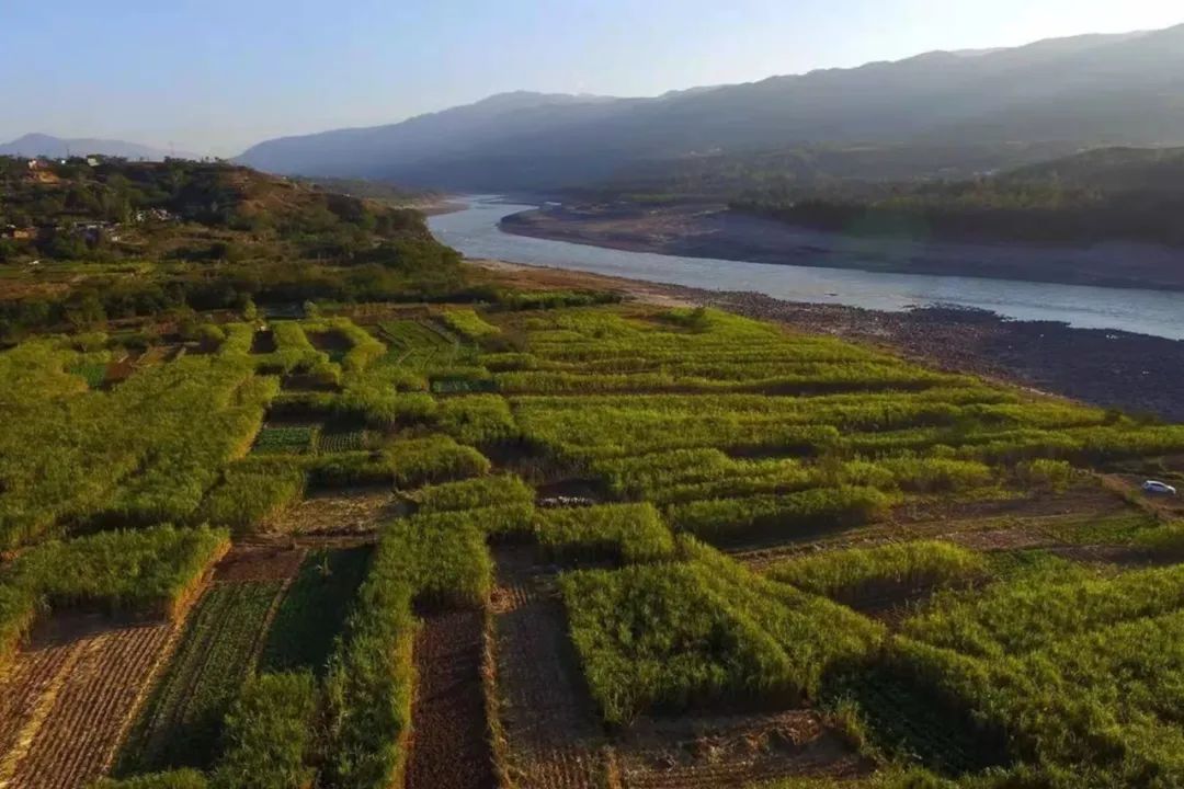 从民宿到整村运营,从民宿到民宿集群