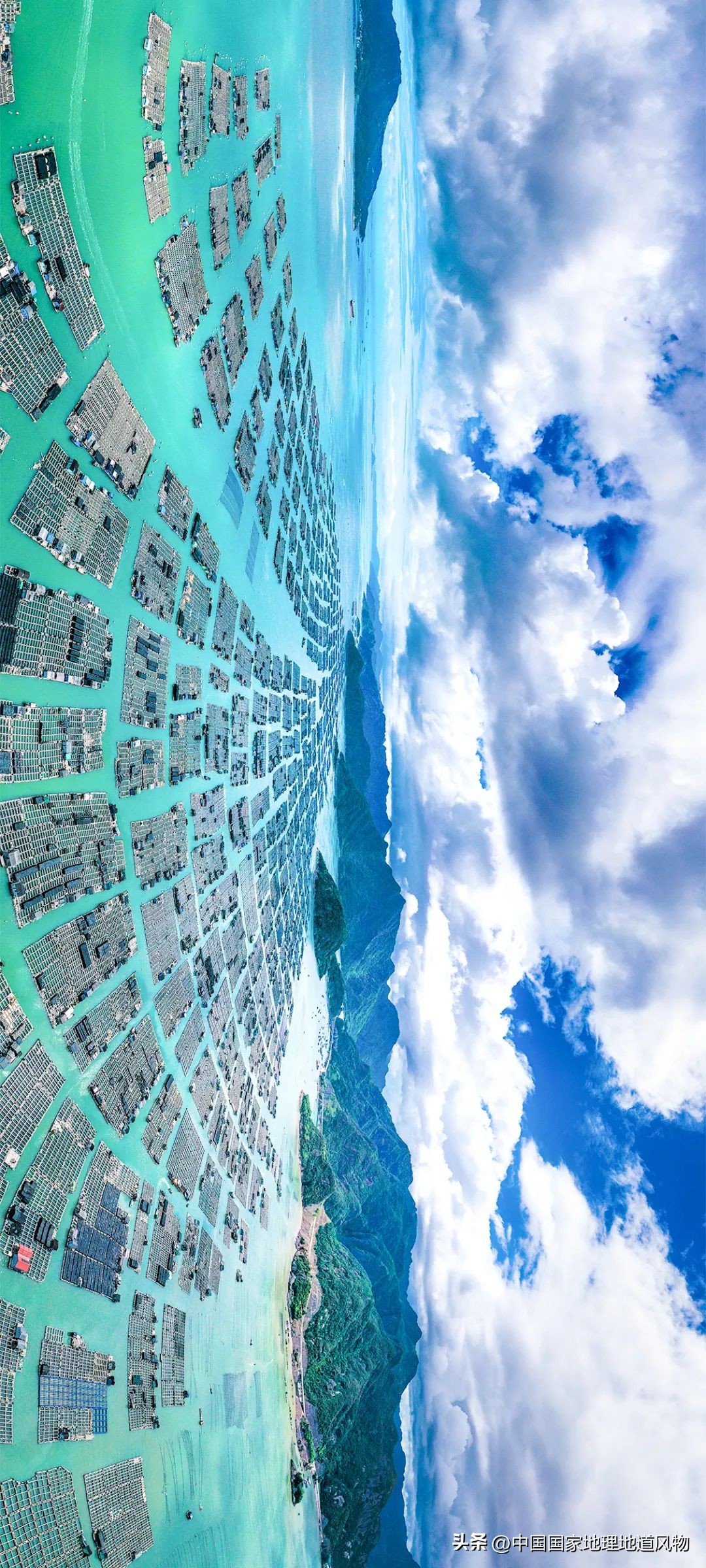 现在的海鲜什么比较好吃,中国哪的海鲜比较好