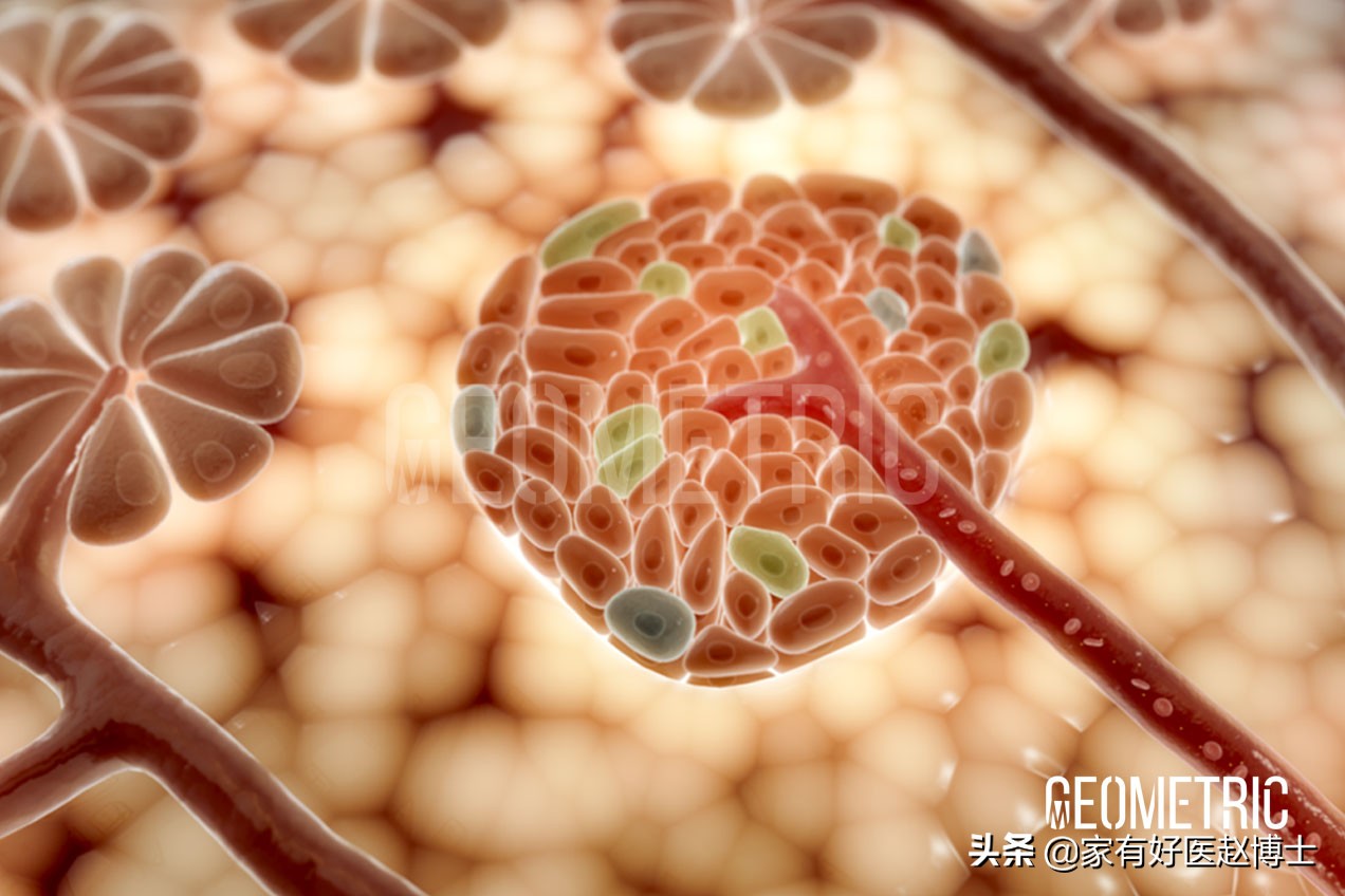 糖尿病用检查胰岛素抵抗吗,糖尿病只能靠自测吗