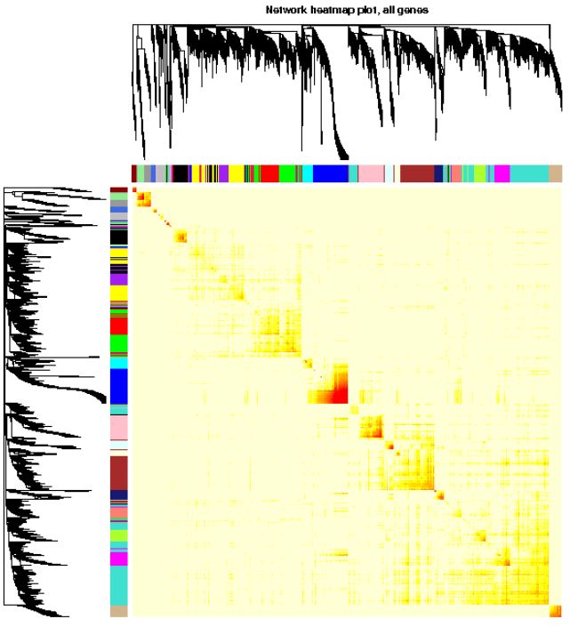 wcgna分析教程,wgcna原理