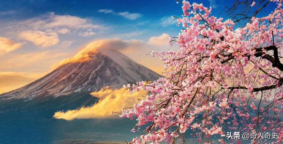 带你了解真实的日本,日本真实的奇异现象