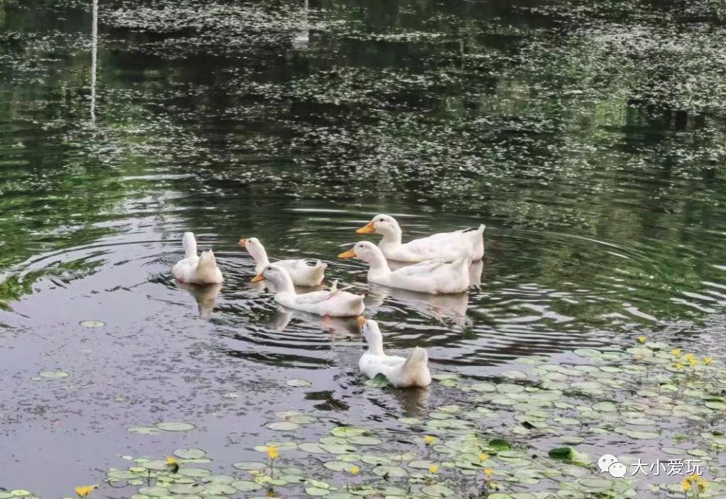 没想到帝都还有这么多各具特色的运动公园！骑行、足球、泵道……