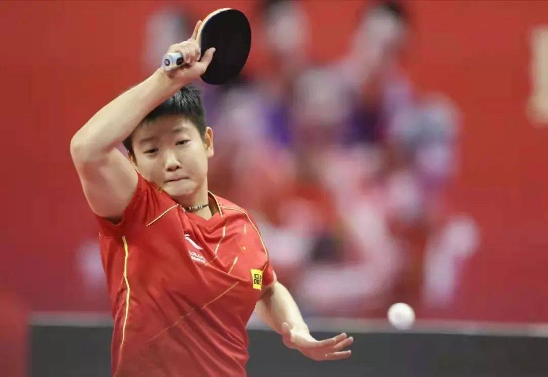 2024世界乒乓球女子单打,世界乒坛最强阵容