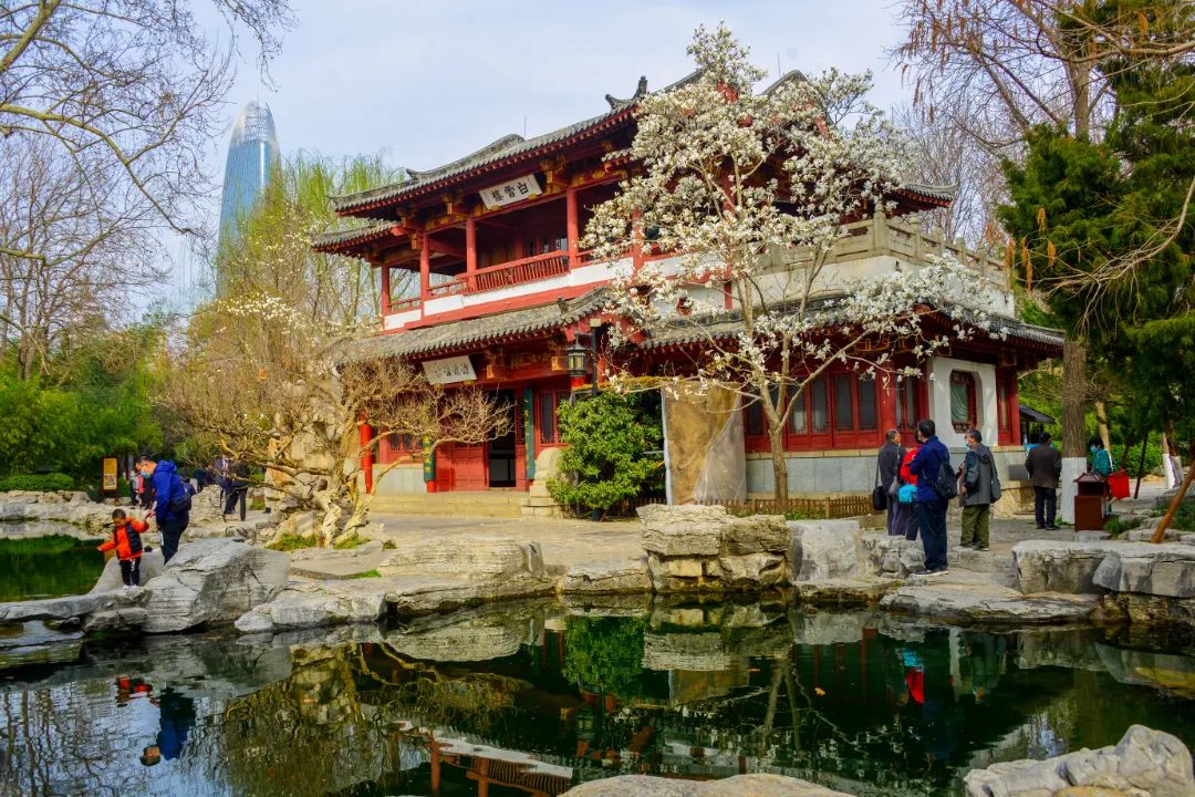 济南元素再一次火爆“出圈”！省长推介的诗意济南是什么样子的？