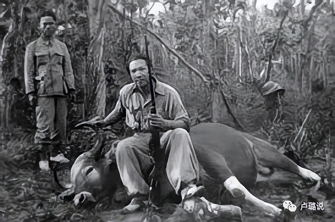 19岁的亚洲最美皇后，盛宠一时被负心抛弃，终成了法国野鬼孤魂！