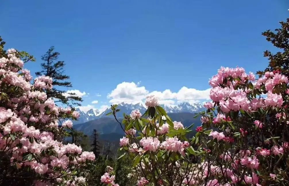 现在的木格措风景,川西高原木格措旅游