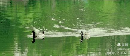 原创诗词七律夏之韵,原创诗词七律六月