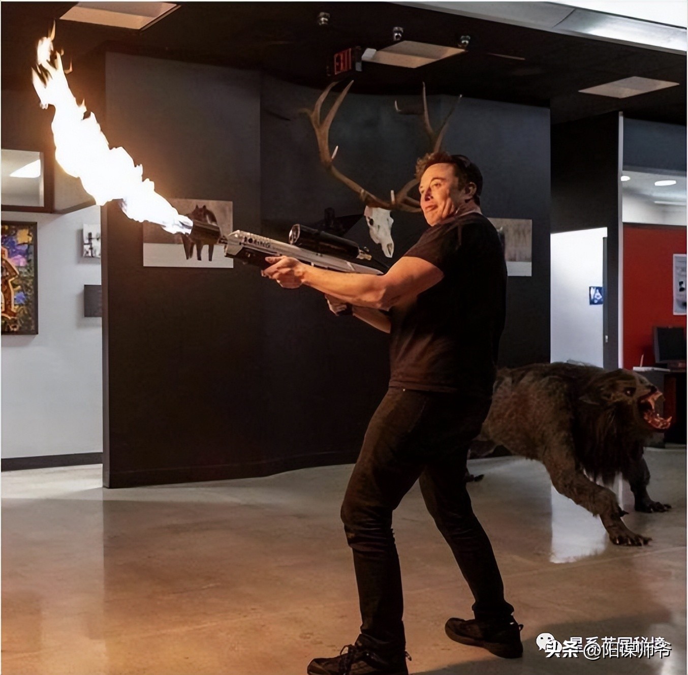 马斯克没有钱之前做什么,马斯克再次带货