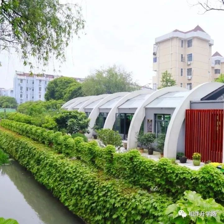 特色高中、生态科研，上海师大二附中的教育崛起之路