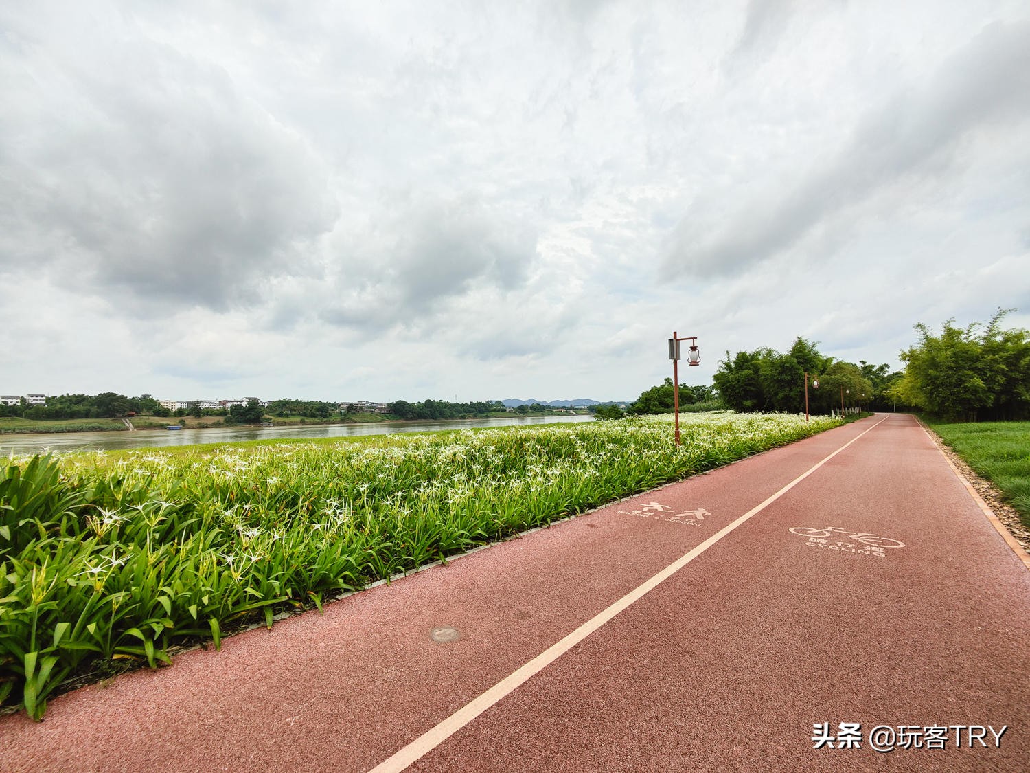 闲鱼捷安特假货多不,闲鱼卖的捷安特atx660假的吗