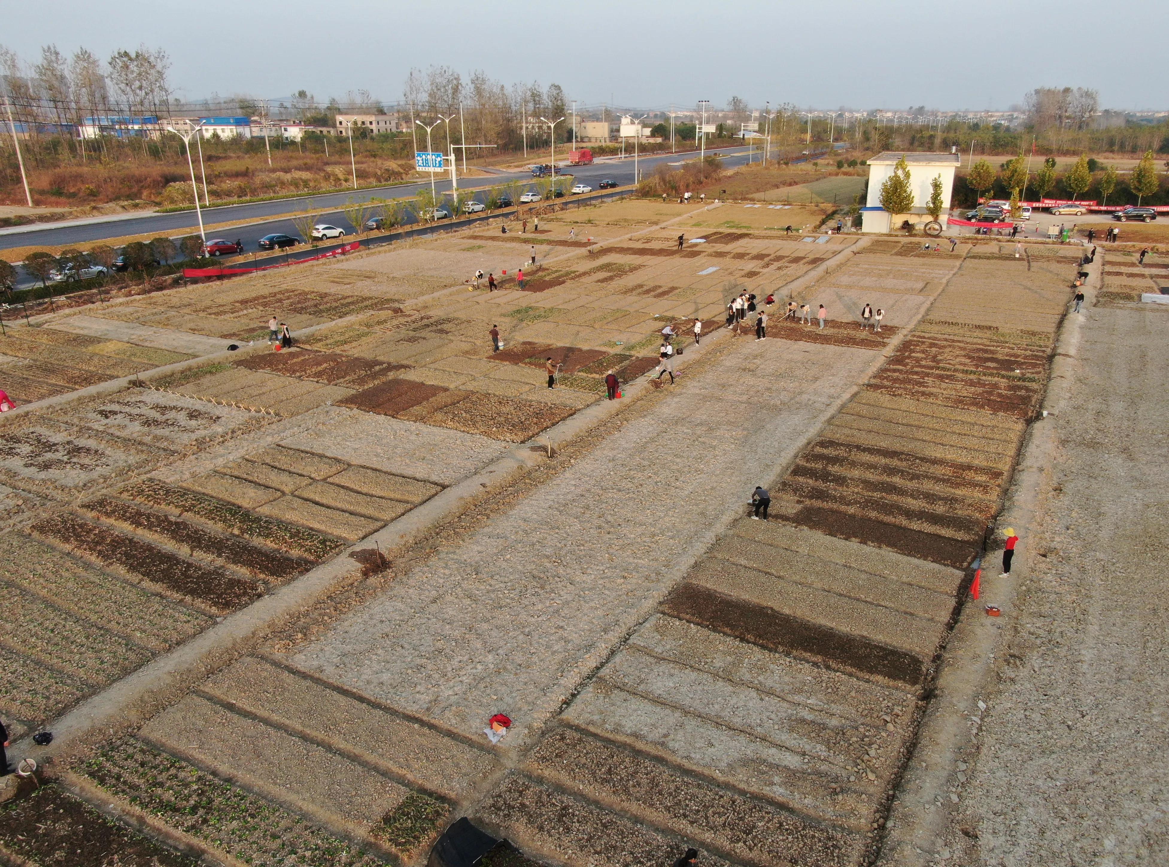 振兴乡村小菜园,小菜园大振兴
