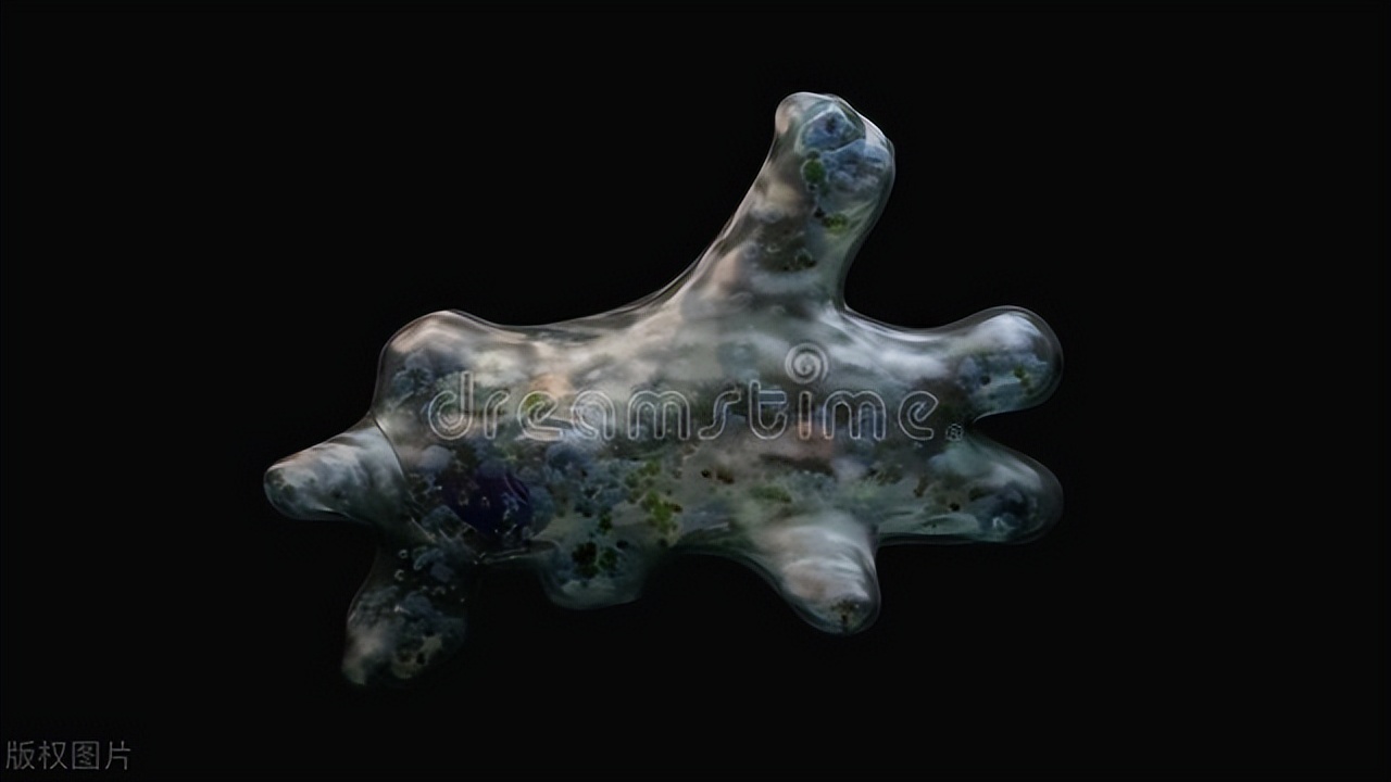 揭秘血液中的守护者！治愈巨核细胞问题的秘诀在这里