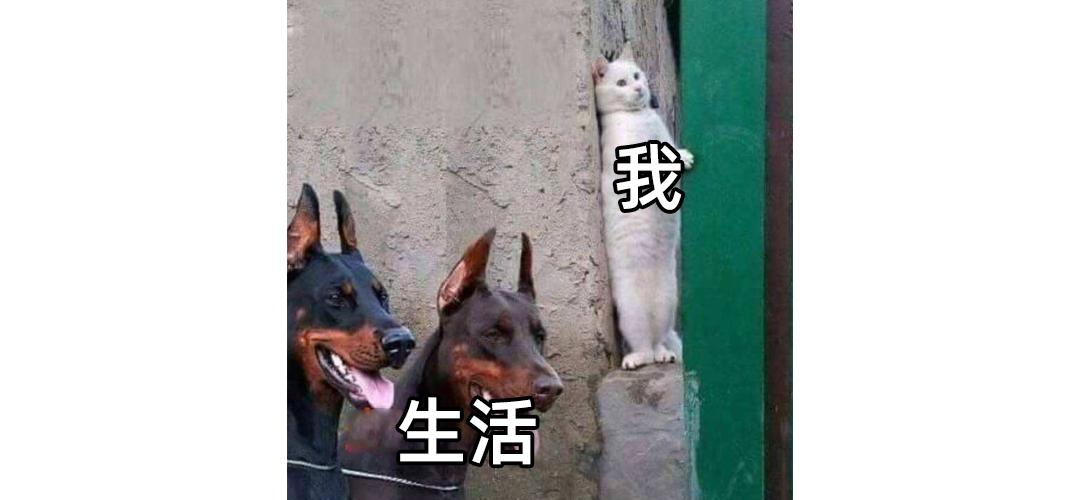 租房电费有些高怎么和房东说,租房电费被房东坑了怎样维权