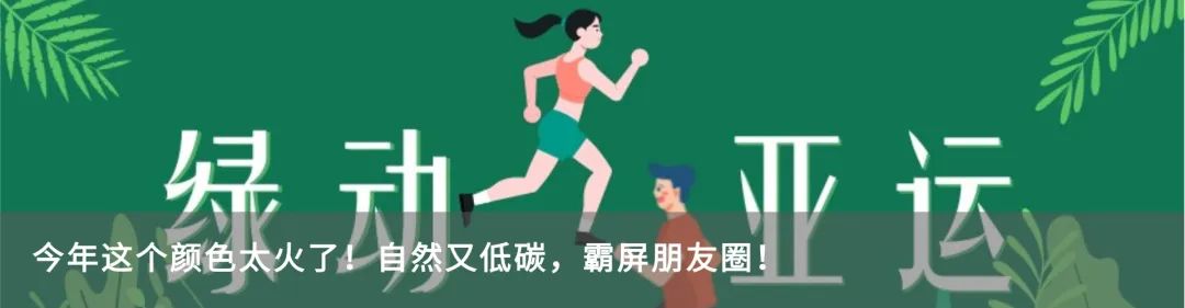 亚运会黄龙体育中心观众视角,亚运奥体中心观赛