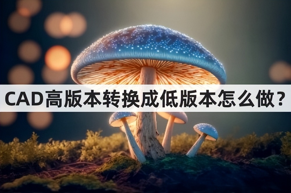 cad怎么把低版本转换为高版本,cad中怎么把高版本转换成低版本