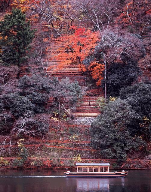 无需精细标记,单击物体实现物体移除、内容填补、场景替换