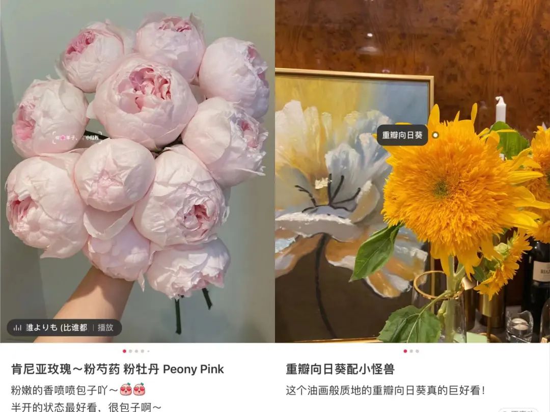 郁金香是不是智商税,郁金香是毒花吗