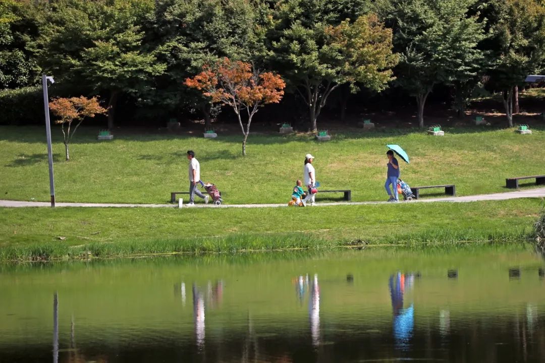 青岛推进唐山路打通工程建设进展,上海又一城市更新项目开工