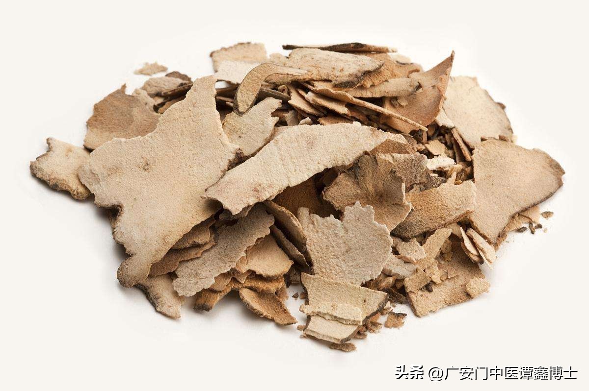 湿热下注前列腺炎中医调理,中医治疗前列腺炎湿热下注