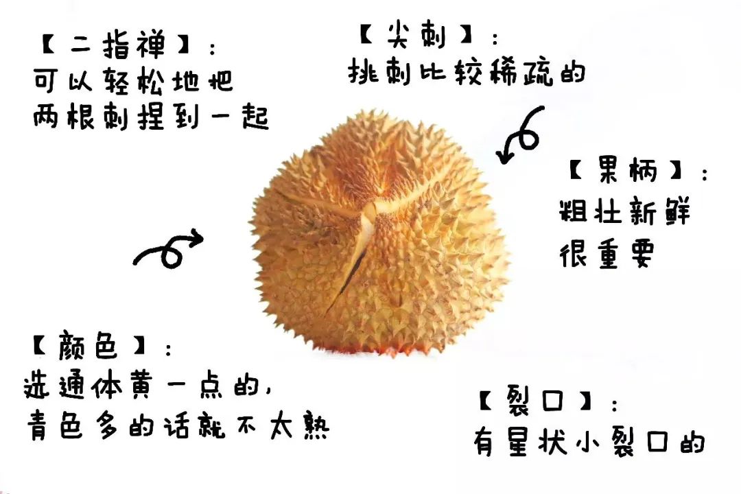 挑水果原来都是这么挑的,选水果小技巧学会你就捡到宝了