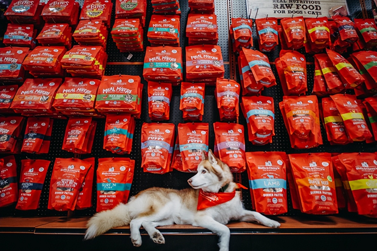 加速国内市场布局，SC官宣乐它奥利派为品牌两大业务代理