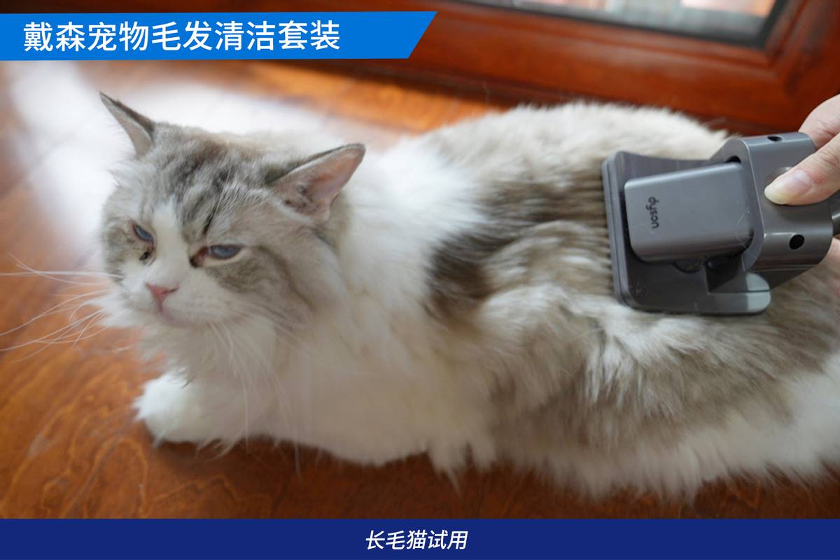 戴森吸猫毛神器,戴森宠物毛发清洁套装